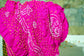 Bandhani Silk Dupatta