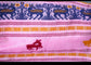 Begumpuri Cotton Sari