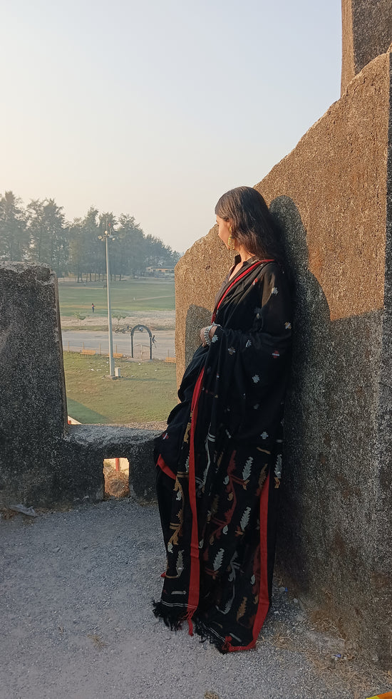 Begumpuri soft cotton saree